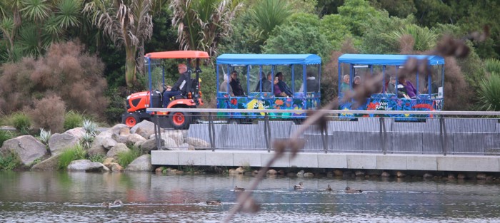 Auckland Botanic's garden tour vehicle, the 'Wiri Rambler' passes in front of the fence as it drives beisde the Garden's Lower Lake