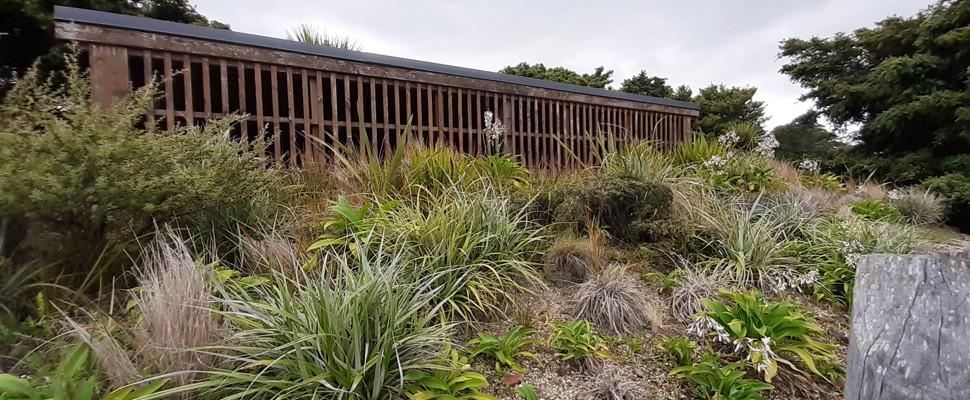 Native living roof