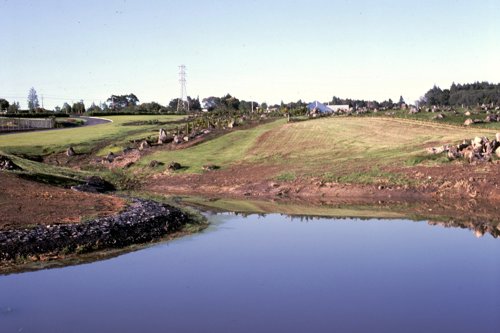 810080 top lake filling looking to conifer garden dec 81.jpg