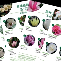 芳香植物 Scented plants image