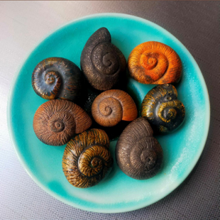 Pupurangi Pendants Workshop image