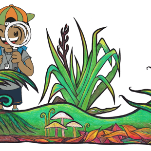 Rongoā rakau – Traditional Medicinal Plant Game image