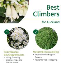 Climbers image