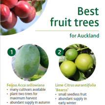 Fruit trees image