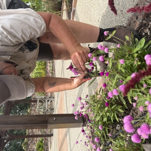 Meet the Gardener Edible Edition: 18th March image