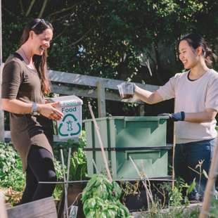 Compost workshop image