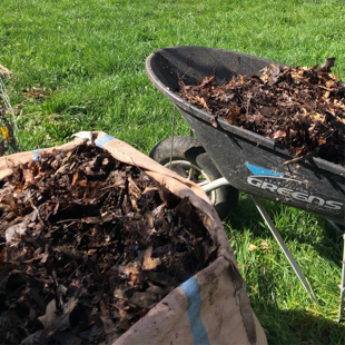 Leaf Mould Workshop image