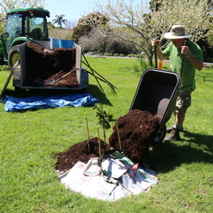 Tips for garden resilience in a changing climate image