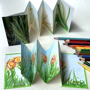 Botanical Pocket Accordion Book image
