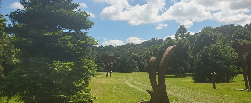 We are looking north to the Gondwana Arboretum where ancient trees from the old supercontinent of Gondwana are slowly growing to their giant size. In the distance the sky is blue with drifts of clouds while in the foreground is a piece of scultpure of a brown bird like form in corteen steel.