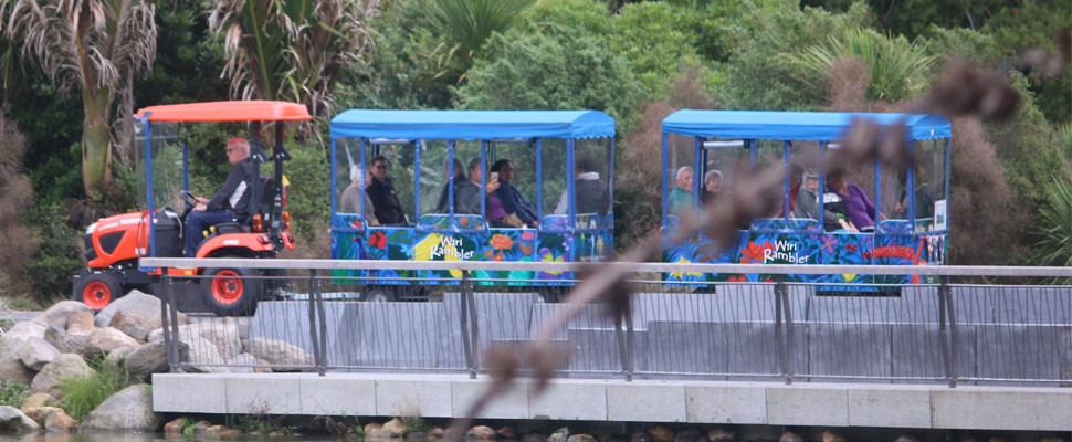 Auckland Botanic's garden tour vehicle, the 'Wiri Rambler' passes in front of the fence as it drives beisde the Garden's Lower Lake