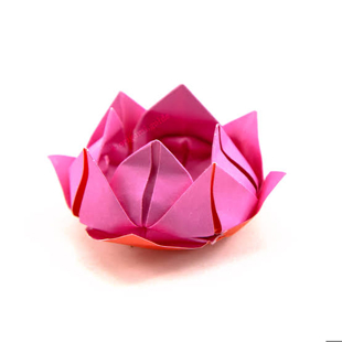 Craft an origami flower image