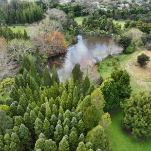 Gift of the Platt Arboretum image