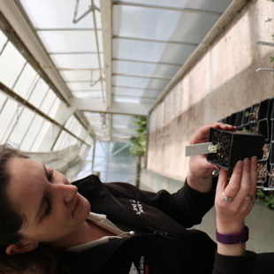 Secret life of plant production: A behind the scenes tour of our nursery image