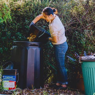 Beginners Compost Workshop image