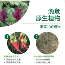 濒危 原生植物 Native threatened image