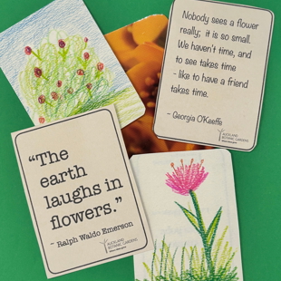 Make your own flower trading card image