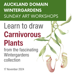 Amazing carnivorous plants workshop - Wintergardens Sunday Art Sessions image