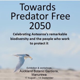 Towards Predator Free 2050 image