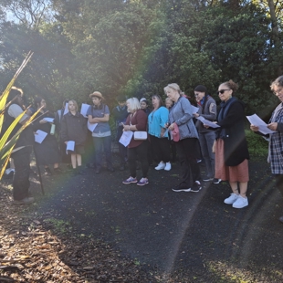 Harakeke collection guided walk image