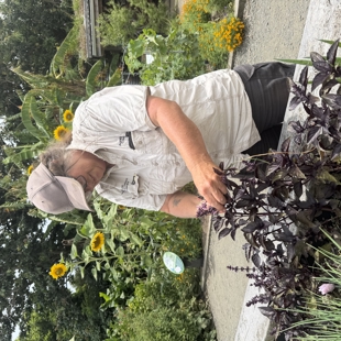 Meet the Gardener Edible Edition: 20th May image