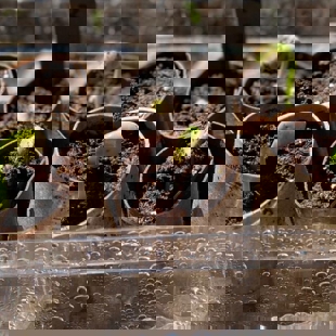 Make a planter tube image