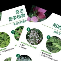 阴地植物 Shade tolerant plants image