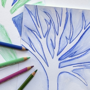 Winter tree in watercolour pencil image