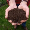 Compost And Hands (1)